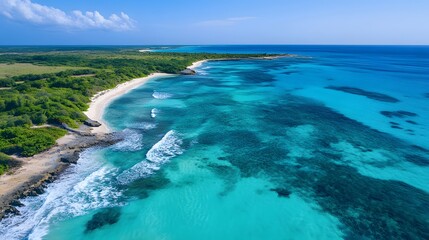 Obraz premium Pristine turquoise ocean waves meet sandy beach along rocky coastline, captured from aerial drone view. White foam waves crash against crystal clear water, creating dramatic coastal scenery.