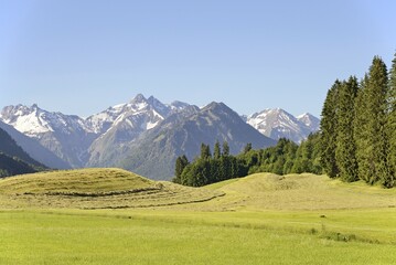 View of the mountain panorama of the Allgäu Alps, in front the Himmelschrofen 1776 m, Reichenbach near Oberstdorf, Allgäu, Bavaria, Germany, Europe
