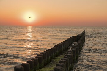 Obraz premium Sea with groynes at sunset, Ahrenshoop, Mecklenburg-Western Pomerania, Germany, Europe
