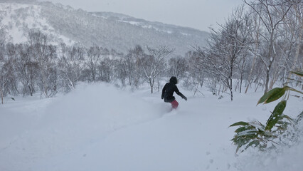 A woman snowboarder in dark gear carves through untouched powder along a forest trail, surrounded...