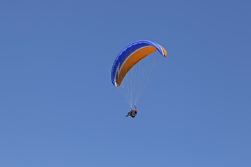 Paraglider at Hochgrat near Steibis, Allgäu, Bavaria, Germany, Europe
