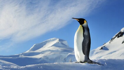 Naklejka premium AI generated, Antarctica, snow, ice, winter, king penguin (Aptenodytes patagonicus), Antarctica