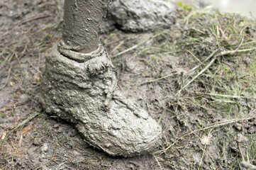 Muddy shoes