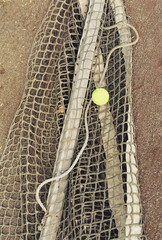 Tennis Ball Tangled in a Clay Court Net