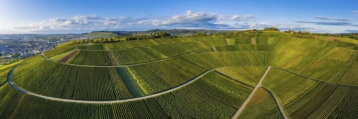 Drone shot, vineyards at Nonnenberg, Remstal near Schnait, Baden-Württemberg, Germany, Europe