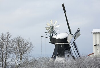 Götzberg Mühle in winter, historic dutch windmill with jalousie wings and wind rose, Götzberg,...
