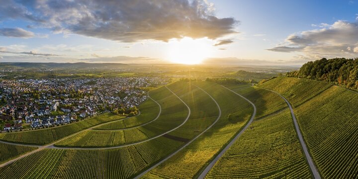 Drone shot, autumn, vineyards at Korber Kopf, Remstal near Schnait, Baden-W&uuml;rttemberg, Germany, Europe