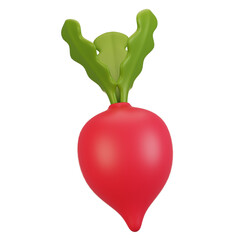 3d rendering vegetables icon concept. 3d render radish icon