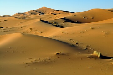 Desert, sand dune of Erg Chebbi, Morocco, Africa