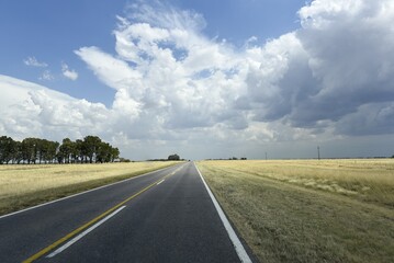 Long straight road through the Pampa to the horizon, Bahia Blanca, Patagonia, Argentina, South America