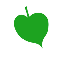 tropical leaves illustration
