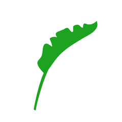 tropical leaves illustration
