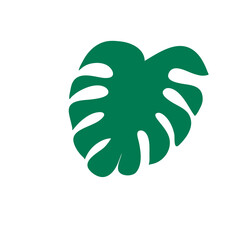 tropical leaves illustration
