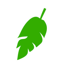 tropical leaves illustration
