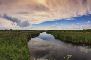 Federsee lake Nature Reserve, UNESCO World Cultural Heritage Site, Bad Buchau, Upper Swabia Baden-Württemberg, Germany, Europe