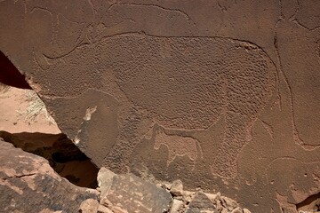 Obraz premium Rock engraving of a rhinoceros, God's plate, near De Riet, Kunene region, Namibia, Africa