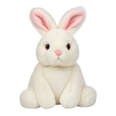 Obraz premium white rabbit isolated on white