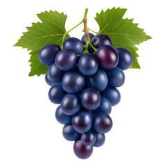 Fototapeta premium bunch of grapes isolated on white