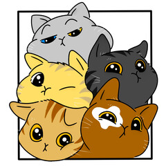 Many cats, Cute cat, cute, Naughty little cat, Cat gang