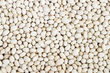 White dried beans