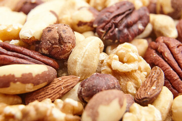 A close-up view of assorted mixed nuts, featuring pecans, hazelnuts, cashews, Brazil nuts, almonds, and walnuts, highlighting their natural textures and tones