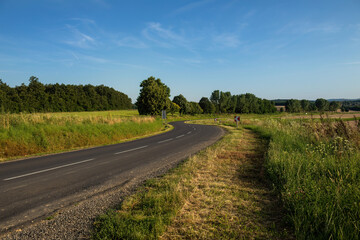 Country road on a sunny day.High quality photo.