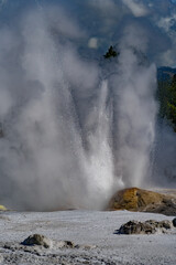 geyser in park national park
