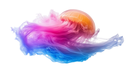 Colorful Jellyfish With Iridescent Tentacles On Black Background