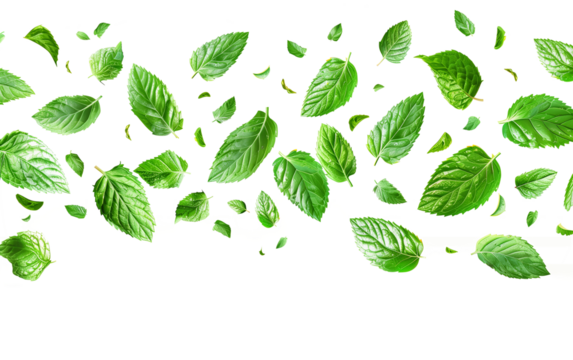 Vibrant Abstract Composition of Falling Mint Leaves on a Colorful Striped Background