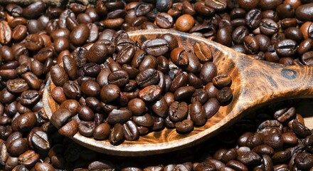 Roasted coffee beans on wooden spoon, Arabica and Robusta