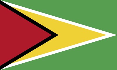 Flag of Guyana, Vector illustration