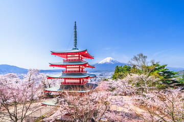 春の新倉山浅間公園　富士山、五重塔、満開の桜【山梨県・富士吉田市】　
Mt. Fuji and the five storied pagoda seen from Arakurayama Sengen Park where the cherry blossoms are in full bloom - Yamanashi, Japan