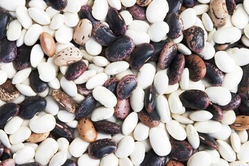 Different types of dried beans