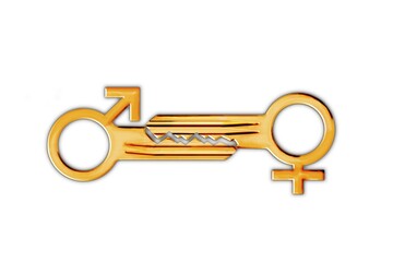 Keys with the symbols for Mars and Venus, illustration