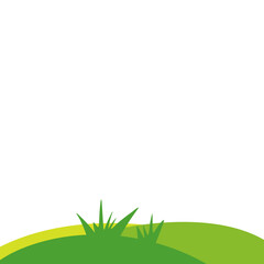 Green lawns with grass and plants
