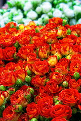 Bouquet of fresh red-yellow roses. Colorful floral background.