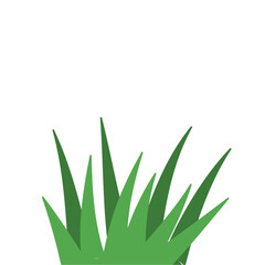 Fragments of green grass
