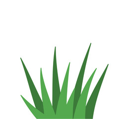 Fragments of green grass
