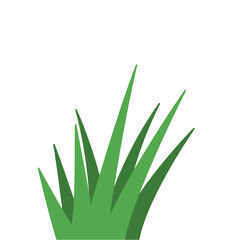 Fragments of green grass
