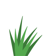 Fragments of green grass
