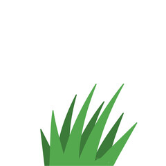 Fragments of green grass
