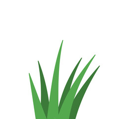 Fragments of green grass
