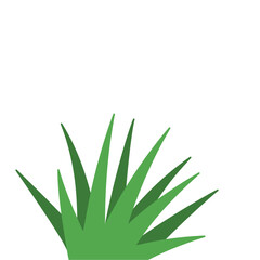 Fragments of green grass
