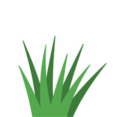 Fragments of green grass
