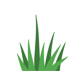 Fragments of green grass
