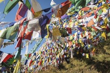 Tibetan prayer flags at the domicile of the Tibetan exile government, McLeod Ganj, Dharamsala,...