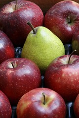 Pear amidst red Jonagored apples