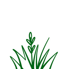Grass doodle sketch style
