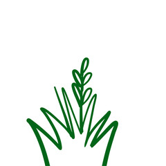 Grass doodle sketch style
