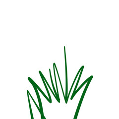 Grass doodle sketch style
